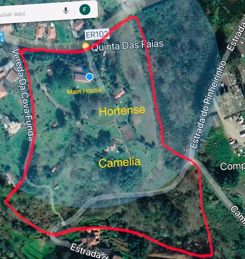 Quinta Das Faias Camacha  Exterior photo