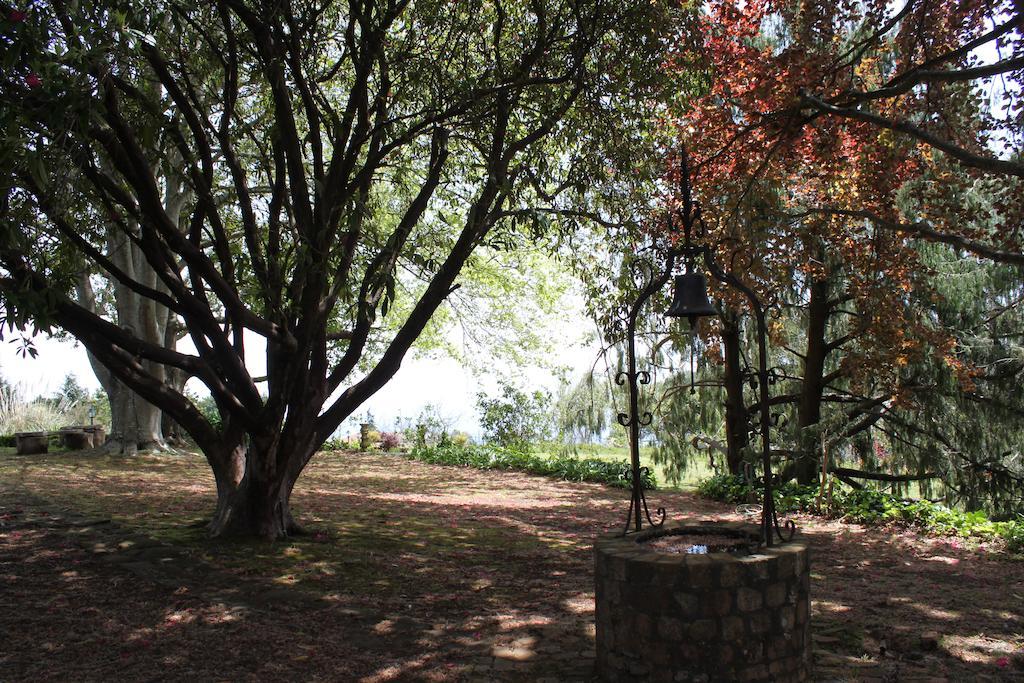 Quinta Das Faias Camacha  Exterior photo